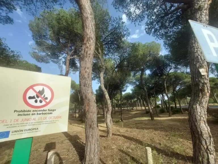 Andalucía activa la prohibición estival de barbacoas, quemas agrícolas y circulación motorizada en monte y zonas de influencia forestal